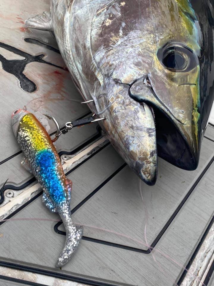 Trophy Hunter Custom Hook Rig (for Profidgie Lure) – Trophy Hunter Fishing
