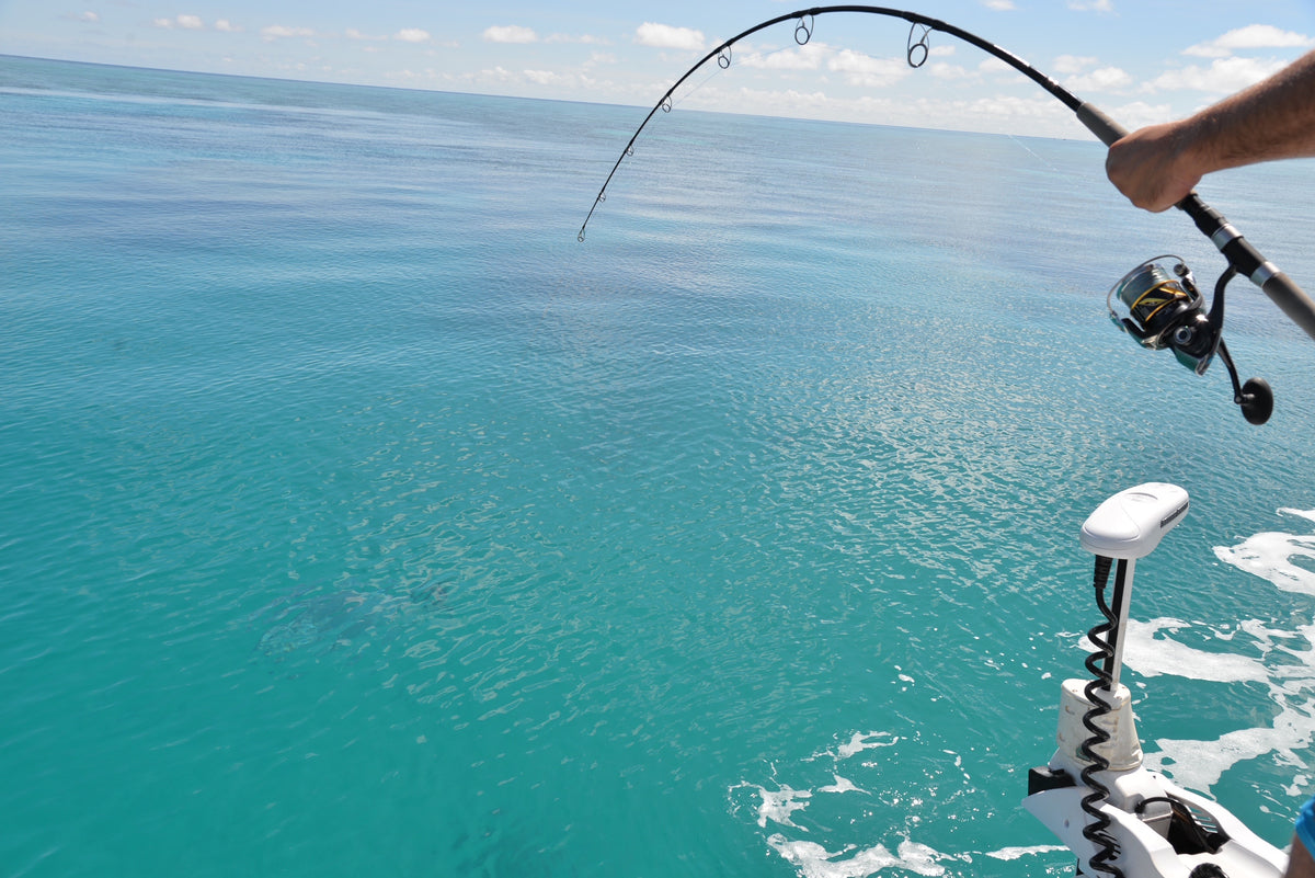 Trophy Hunter Topwater Rods – Trophy Hunter Fishing